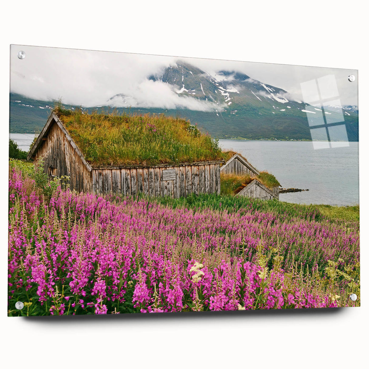 Side view of a botanical wall art piece featuring vibrant fireweed flowers, displayed with pins on a sleek acrylic glass background, perfect for home decor.