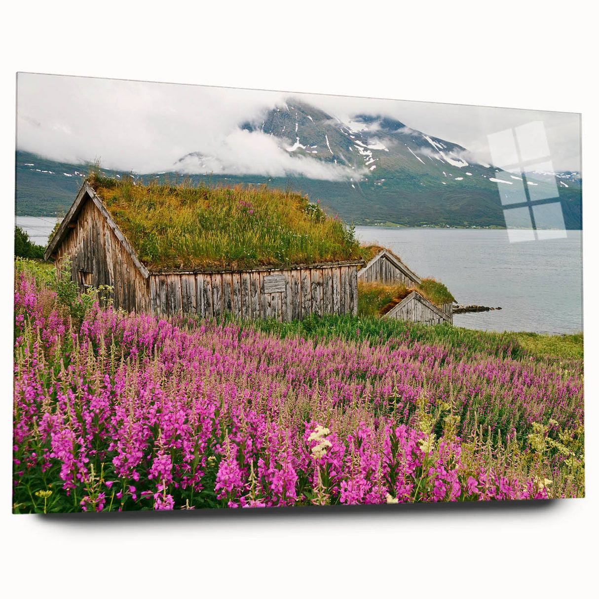 Acrylic wall art featuring a vibrant botanical design of fireweed, presented in a sleek side view, showcasing intricate details and colorful floral elements. Ideal for home decor enthusiasts seeking unique nature-inspired artwork.