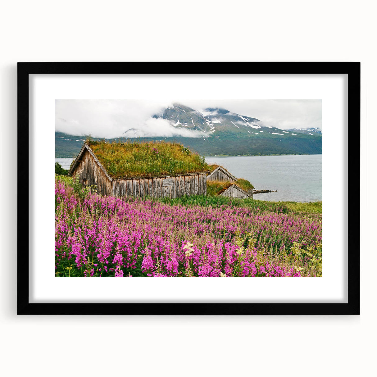 Framed botanical wall art featuring vibrant fireweed flowers, set in a sleek black frame with a mat, perfect for home decor and nature enthusiasts. Ideal for brightening living spaces.