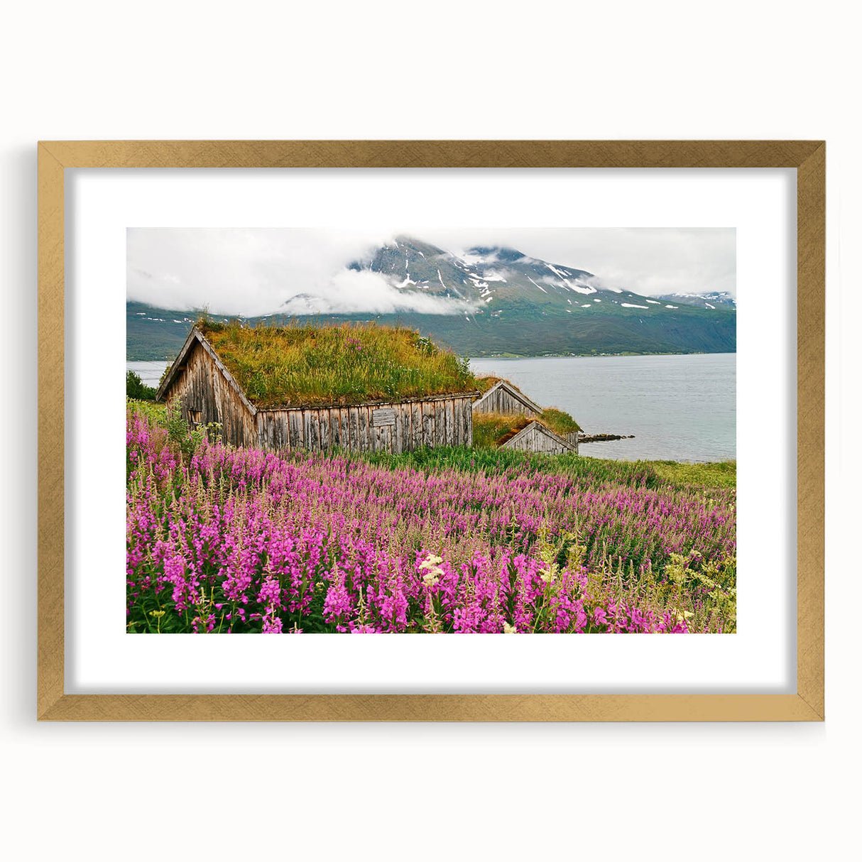 Botanical wall art featuring a vibrant fireweed design in a gold frame with a mat, perfect for adding elegance to home decor. Ideal for nature enthusiasts.