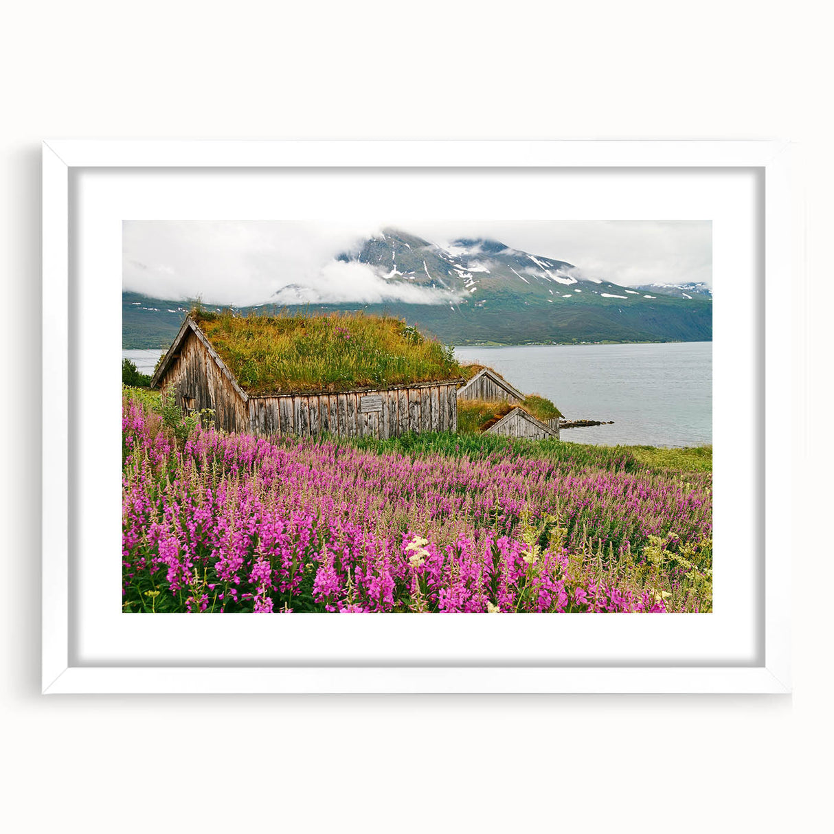 Framed botanical wall art featuring vibrant fireweed design, set against a white mat. Ideal for enhancing home decor with a touch of nature's beauty.