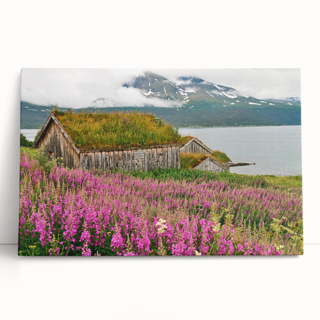 Vibrant botanical wall art featuring fireweed flowers in vivid colors, printed on stretched canvas, ideal for home decor and nature lovers.