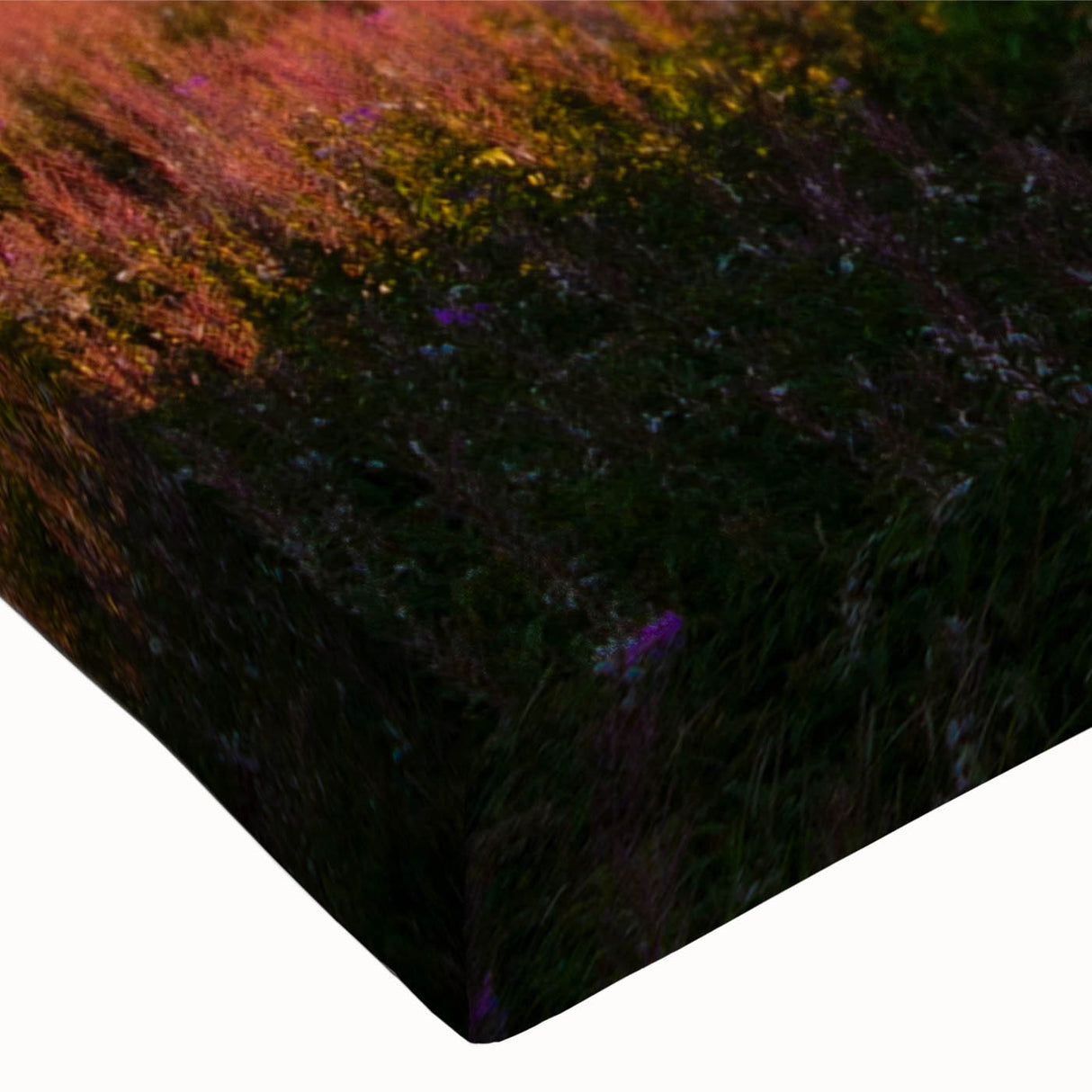 Close-up of vibrant fireweed botanical wall art design on stretched canvas, showcasing intricate details and rich colors, perfect for home decor.