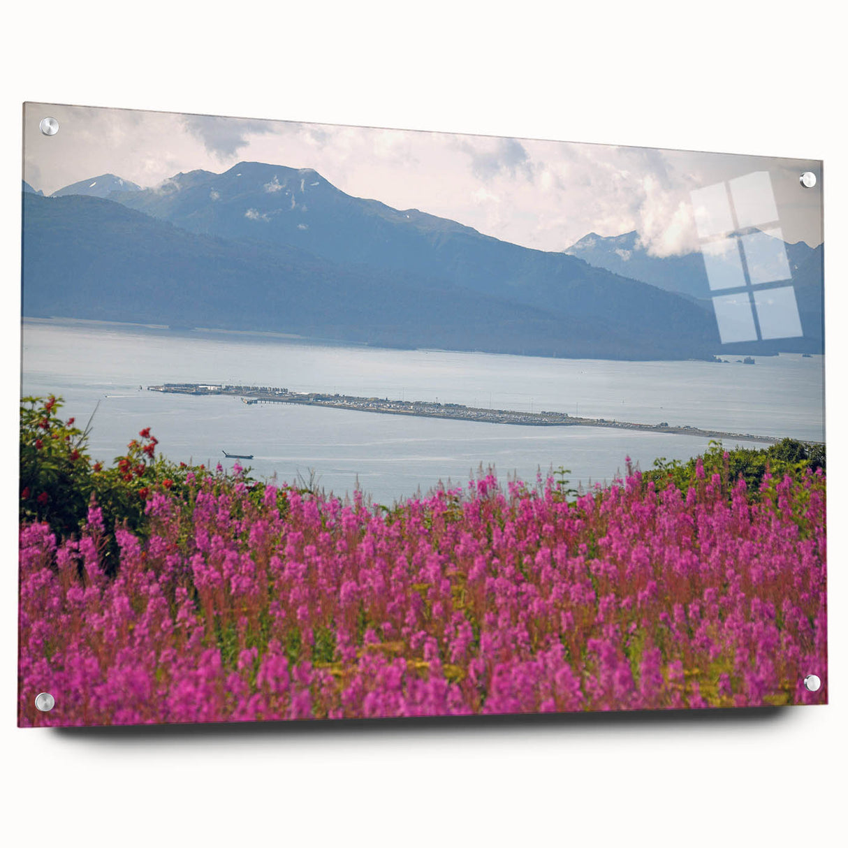 Side view of a botanical wall art collection featuring vibrant fireweed design printed on acrylic glass, secured with pins, showcasing rich colors and intricate details.