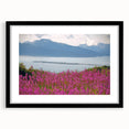 Botanical wall art featuring a vibrant fireweed design in a sleek black frame with a mat, ideal for adding a touch of nature to modern home decor.