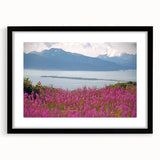 Botanical wall art featuring a vibrant fireweed design in a sleek black frame with a mat, ideal for adding a touch of nature to modern home decor.