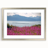 Elegant silver-framed botanical wall art featuring a vibrant fireweed design, ideal for home decor. The mat enhances the artwork's details and colors, perfect for nature lovers.