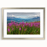 Beautiful botanical wall art featuring vibrant fireweed flowers in a silver frame with a mat, perfect for adding a touch of nature to home decor.