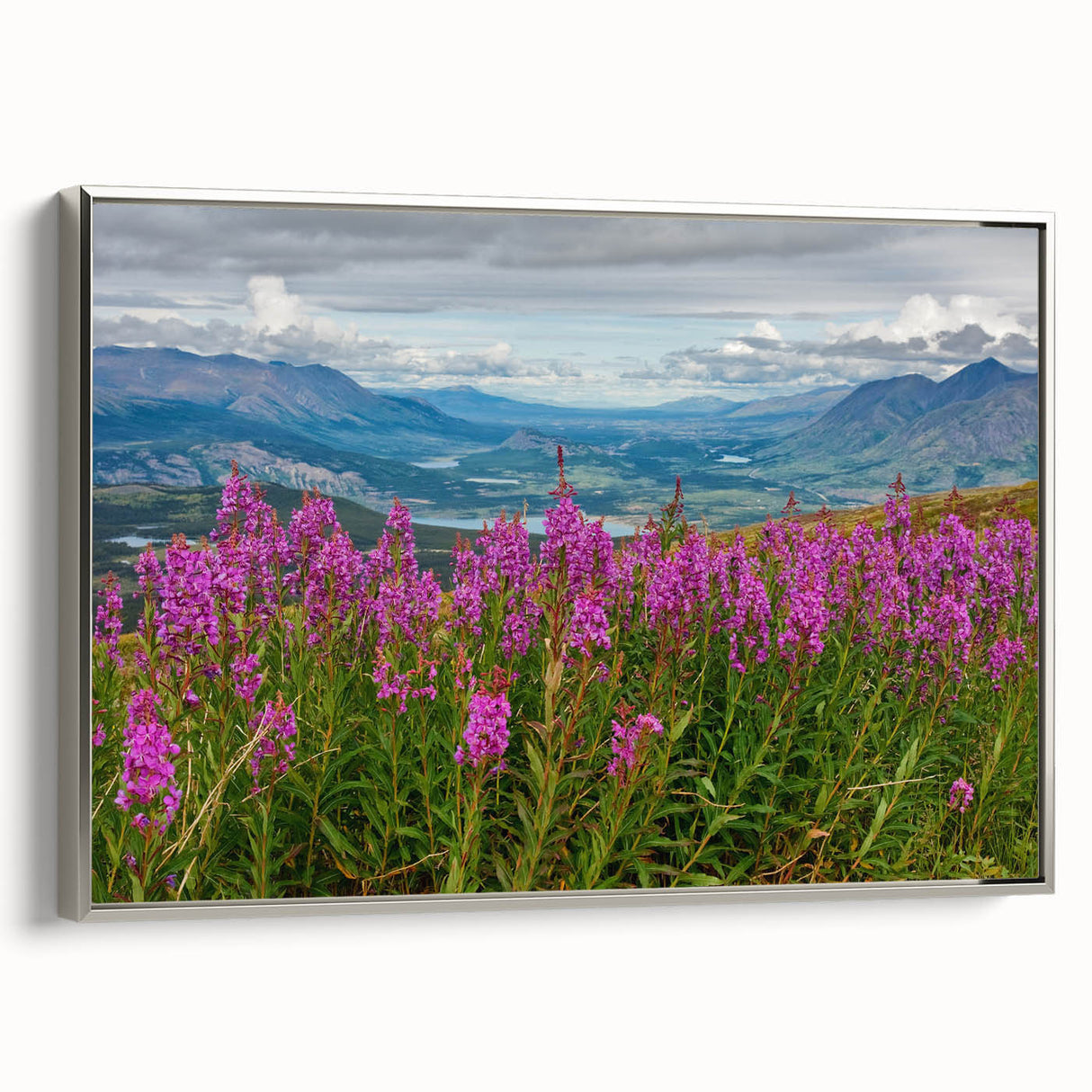 Framed canvas wall art showcasing a botanical design of fireweed, featuring vibrant colors and a sleek silver frame, ideal for home decor enhancement.