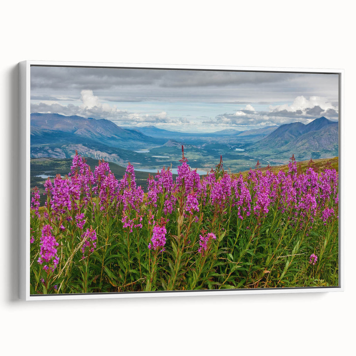 Framed botanical wall art featuring a vibrant fireweed design, showcasing intricate details and a white frame, perfect for enhancing modern decor aesthetics.