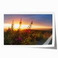 Vibrant botanical wall art featuring a detailed fireweed design, showcasing bright pink and green hues on a rolled print ready for framing, ideal for home decor.