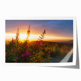 Vibrant botanical wall art featuring a detailed fireweed design, showcasing bright pink and green hues on a rolled print ready for framing, ideal for home decor.