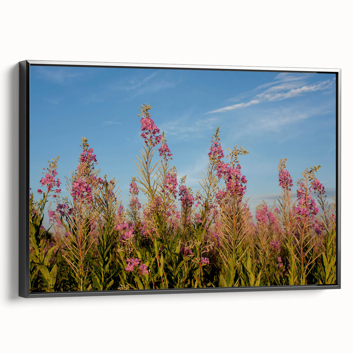 Framed botanical wall art featuring a vibrant fireweed design on a black canvas, showcasing intricate floral details and a sleek side view for modern decor.