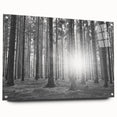 Acrylic glass wall art featuring a vibrant botanical forest design with colorful flowers and trees, displayed from a side view showcasing its sleek pins and modern aesthetic.