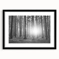 Framed botanical wall art featuring a lush forest design with colorful flowers and trees, presented with a black mat and sleek frame for an elegant display.