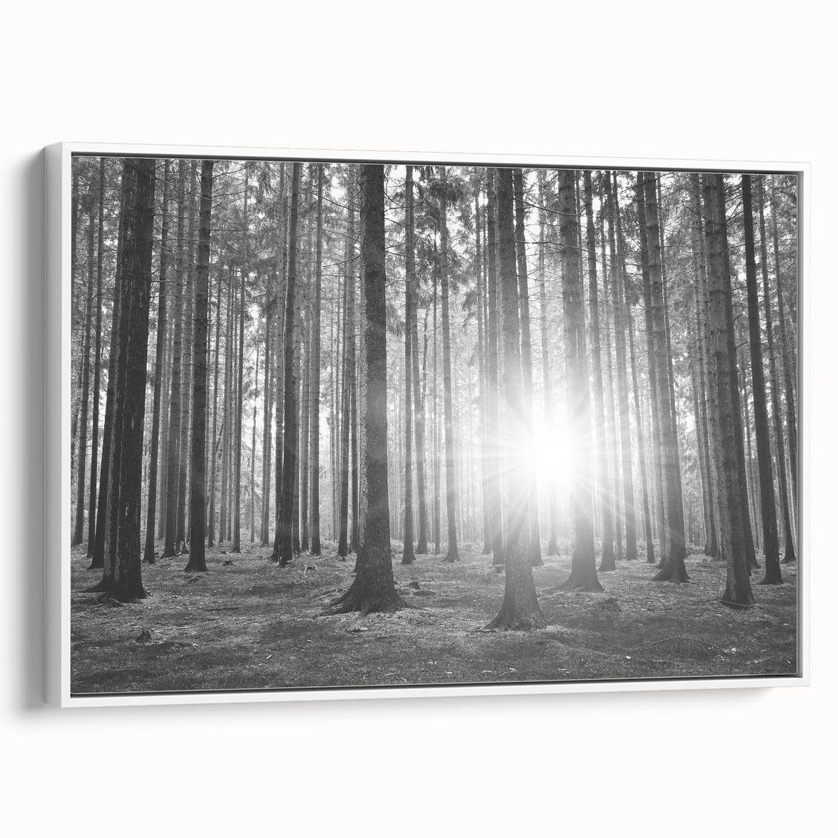 Framed wall art featuring a botanical forest design with colorful flowers and trees, set against a white background, showcasing vibrant nature-inspired decor for home interiors.