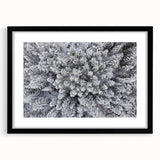 Botanical forest-themed wall art featuring a framed design with vibrant flowers and trees, set in a sleek black frame with a mat, showcasing natural beauty and elegance.