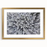 Botanical forest-themed wall art featuring intricate floral designs and trees, elegantly framed with a gold mat, perfect for enhancing home decor aesthetics.