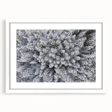 Botanical forest wall art collection showcasing a vibrant flower and tree design in a white frame with matting, perfect for enhancing home decor and nature-themed interiors.