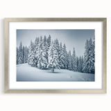 Framed botanical wall art featuring a forest of colorful flowers and trees, elegantly displayed with a silver mat, perfect for enhancing home decor.