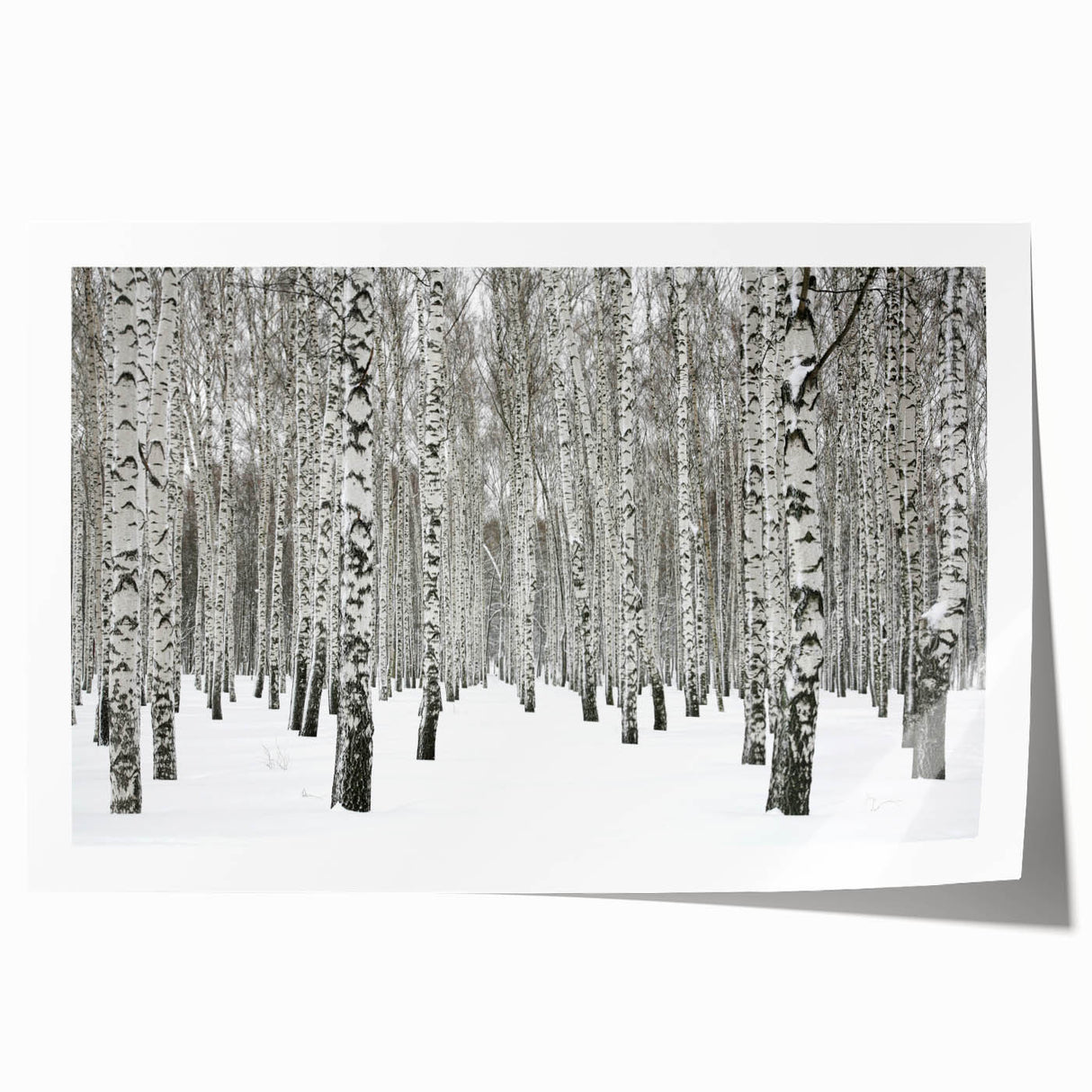 Botanical wall art print showcasing a vibrant forest scene with lush green trees and colorful flowers, rolled and ready for framing, ideal for nature-inspired decor.