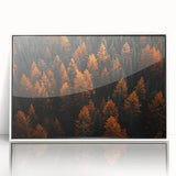 Framed wall art featuring a botanical design of colorful flowers and trees against a white background, perfect for enhancing modern home decor.