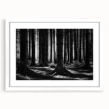 Framed botanical wall art collection featuring vibrant floral and forest tree designs, set in a white mat for an elegant display, perfect for home decor.