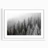 Botanical forest wall art collection featuring vibrant flowers and trees in a white-framed design, ideal for adding natural elegance to any room.