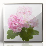 Framed botanical wall art featuring a delicate geranium design in vibrant colors, set in a sleek silver frame, perfect for home decor enhancement.