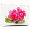 A side view of a botanical geranium wall art piece, featuring vibrant floral designs printed on acrylic glass, elegantly mounted with decorative pins, perfect for home decor.