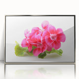 Framed botanical wall art featuring a vibrant geranium design in a sleek silver frame, showcasing intricate floral details and a modern aesthetic, perfect for home decor.