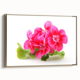 Framed botanical geranium wall art in a gold frame, showcasing vibrant flower designs on canvas, perfect for adding elegance to home decor.