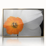Framed botanical wall art featuring a vibrant geranium design with gold accents, perfect for adding a touch of elegance to home decor.