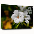 Acrylic glass wall art featuring a botanical geranium design, showcasing vibrant green and pink hues. Perfect for adding a touch of nature-inspired decor to any space.
