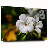 Acrylic glass wall art featuring a botanical geranium design, showcasing vibrant green and pink hues. Perfect for adding a touch of nature-inspired decor to any space.
