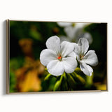 Framed botanical wall art featuring a geranium design with gold accents, showcasing vibrant colors and intricate details, perfect for home decor enhancement.