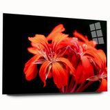 Acrylic glass wall art showcasing a botanical geranium design in vibrant colors, displayed from the side to highlight its sleek profile and elegant presentation. Ideal for home decor enthusiasts seeking nature-inspired artwork.