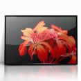 Framed botanical wall art featuring a vibrant geranium design in acrylic, set against a sleek black frame, perfect for home decor or gallery display.