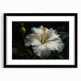 Botanical wall art featuring a vibrant hibiscus design, framed in black with a matte finish, showcasing colorful floral details ideal for home decor.