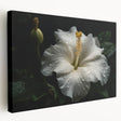Stretched canvas wall art showcasing a vibrant hibiscus botanical design, featuring rich colors and intricate details, perfect for home decor or gifting.
