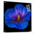 Acrylic glass wall art featuring a vibrant botanical hibiscus design, elegantly displayed from a side view with decorative pins for mounting. Ideal for enhancing home decor.