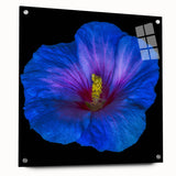 Acrylic glass wall art featuring a vibrant botanical hibiscus design, elegantly displayed from a side view with decorative pins for mounting. Ideal for enhancing home decor.