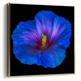Framed wall art showcasing a vibrant hibiscus floral design in silver and gold tones, ideal for home decor or botanical-themed interiors. The canvas adds elegance and color to any room.