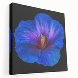 Side view of a stretched canvas featuring a vibrant hibiscus botanical design, showcasing intricate details and rich colors, perfect for home decor enhancement.