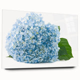 Acrylic wall art showcasing a vibrant botanical hydrangea design in a sleek side view, emphasizing its modern aesthetic and glass finish, perfect for decor.