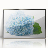Framed wall art featuring a botanical hydrangea design with vibrant blue and white flowers against a sleek silver frame, ideal for modern home decor.