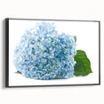 Framed canvas wall art showcasing a botanical hydrangea design, featuring vibrant blue and green hues, elegantly displayed with a sleek black frame from the side.