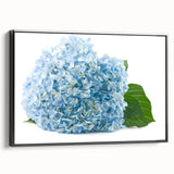 Framed canvas wall art showcasing a botanical hydrangea design, featuring vibrant blue and green hues, elegantly displayed with a sleek black frame from the side.