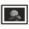 Black-framed wall art featuring a botanical hydrangea design, showcasing vibrant blue and purple flowers against a soft white background, perfect for home decor.