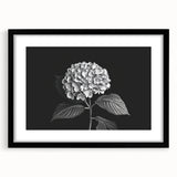 Black-framed wall art featuring a botanical hydrangea design, showcasing vibrant blue and purple flowers against a soft white background, perfect for home decor.